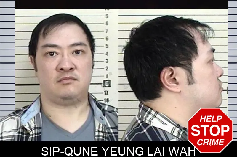 Sip-Qune Yeung Lai Wah mugshot