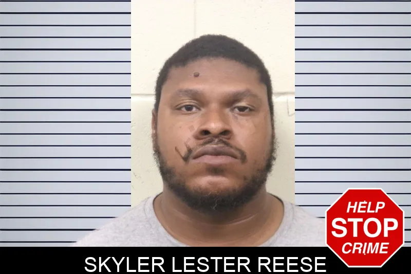Skyler Lester Reese mugshot