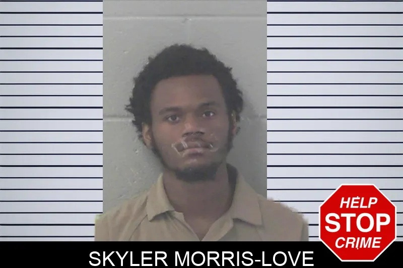 Skyler Morris-Love mugshot