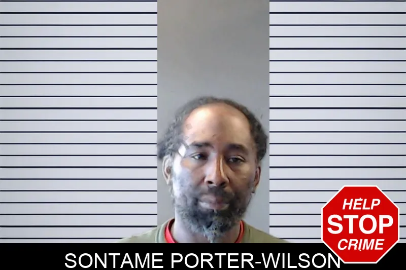 Sontame Porter-Wilson mugshot