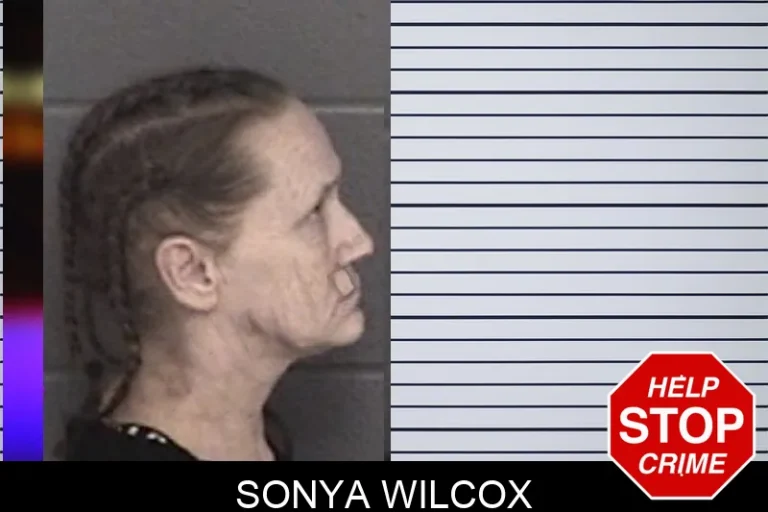 Sonya Wilcox mugshot – Barrow County , Georgia Sonya Wilcox