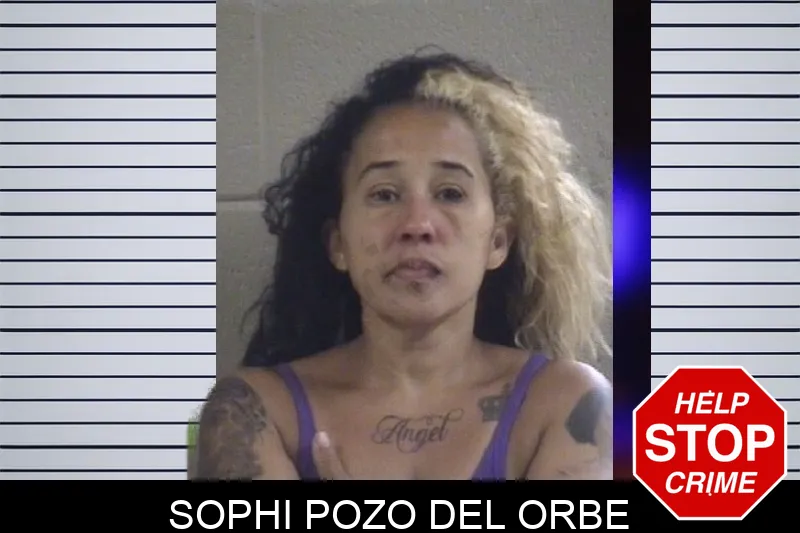 Sophi Pozo Del Orbe mugshot