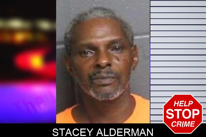 Stacey Alderman mugshot – Bacon County , Georgia Stacey Alderman mugshot