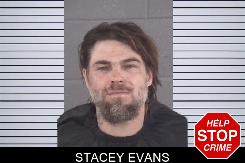 Stacey Evans mugshot