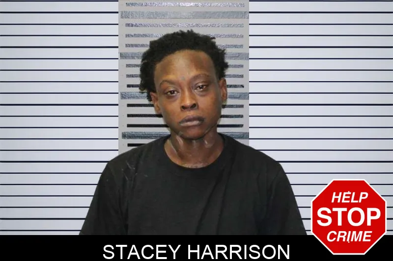 Stacey Harrison mugshot