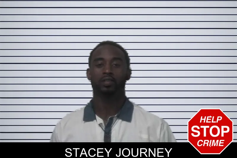 Stacey Journey mugshot
