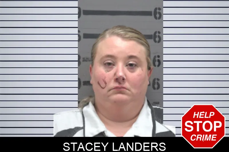 Stacey Landers mugshot