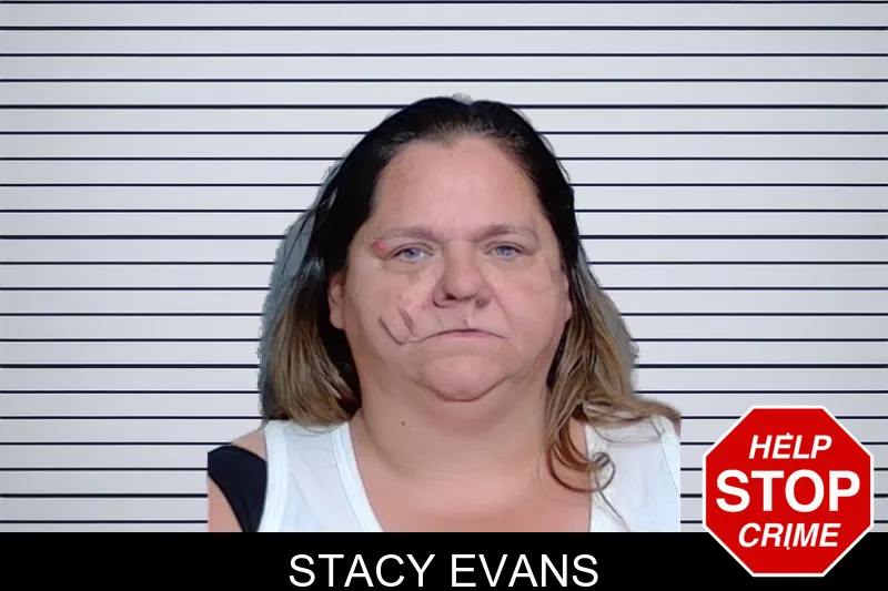 Stacy Evans mugshot – Glynn County , Georgia Stacy Evans mugshot