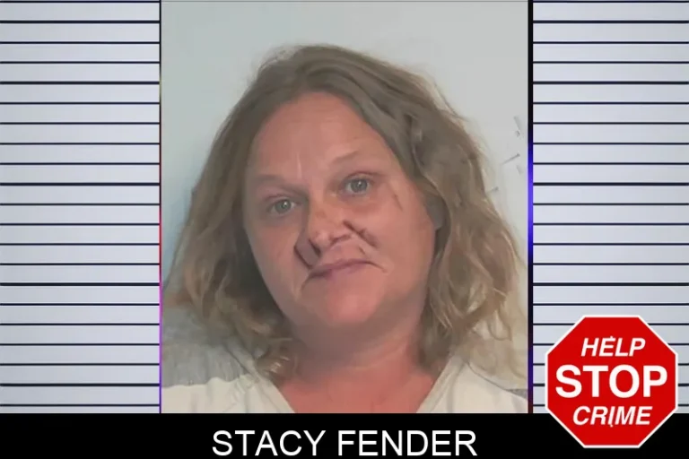 Stacy Fender