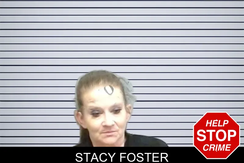 Stacy Foster mugshot – Fulton County , Georgia Stacy Foster mugshot