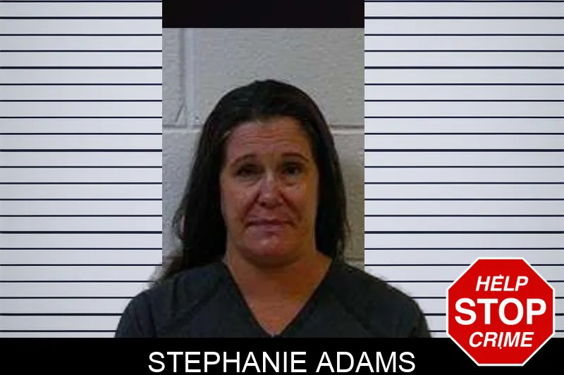 Stephanie Adams mugshot