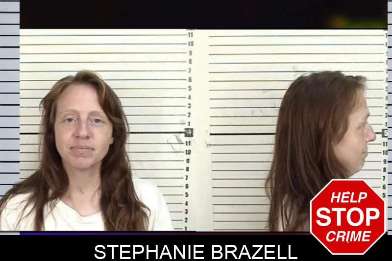 Stephanie Brazell mugshot – Camden County , Georgia Stephanie Brazell mugshot