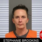 Stephanie Brookins mugshot – Lumpkin County , Georgia Stephanie Brookins mugshot