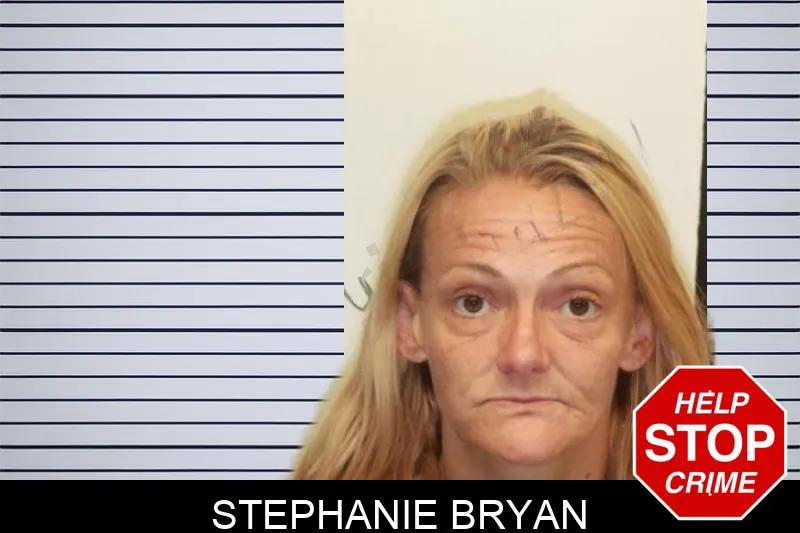 Stephanie Bryan mugshot – Chatham County , Georgia Stephanie Bryan mugshot