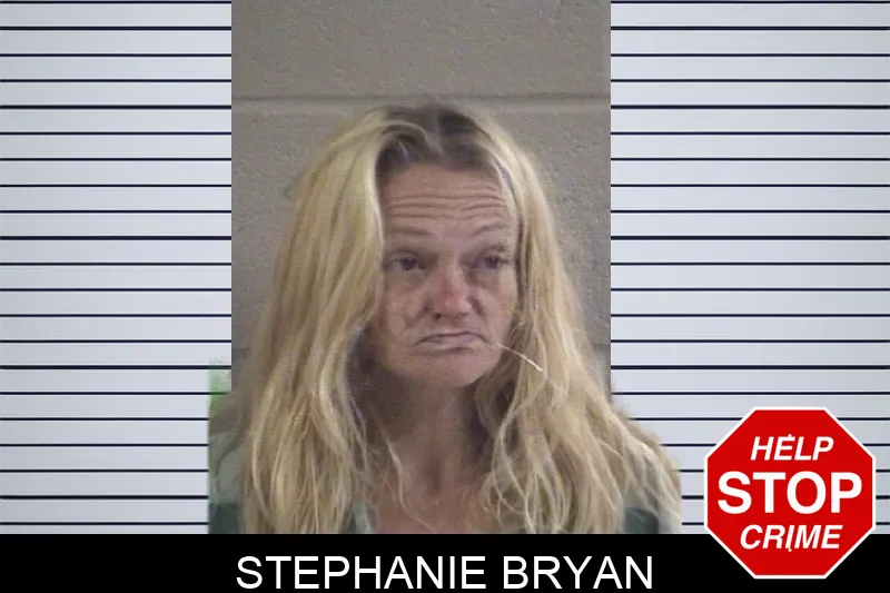 Stephanie Bryan mugshot