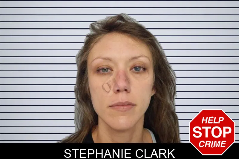 Stephanie Clark mugshot – Hall County , Georgia Stephanie Clark mugshot