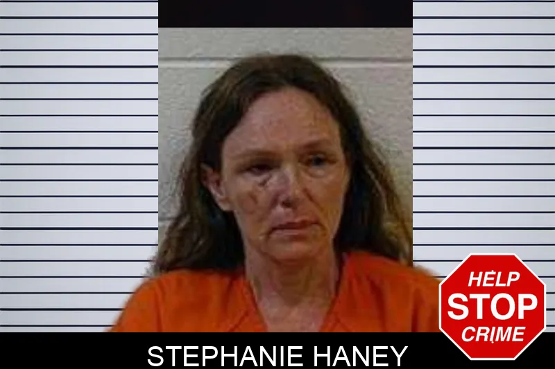 Stephanie Haney mugshot – Polk County , Georgia Stephanie Haney mugshot