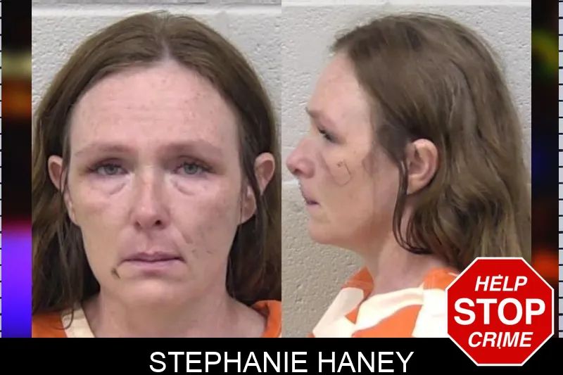 Stephanie Haney mugshot
