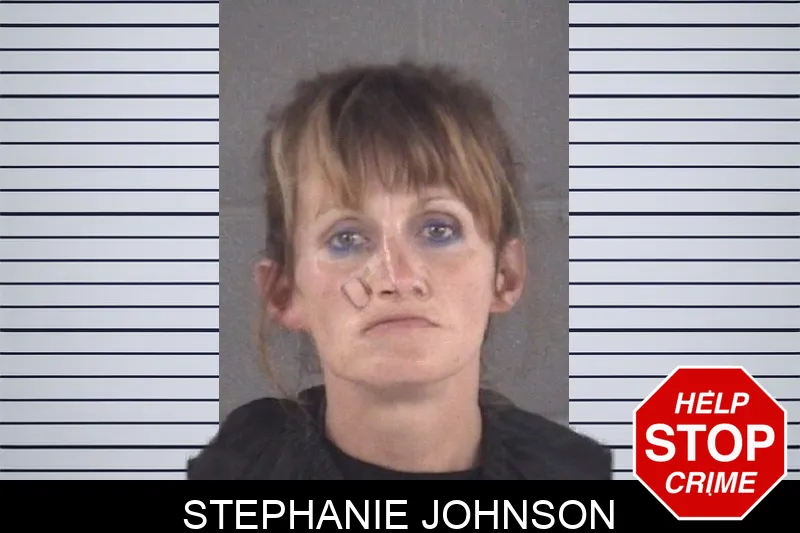 Stephanie Johnson mugshot
