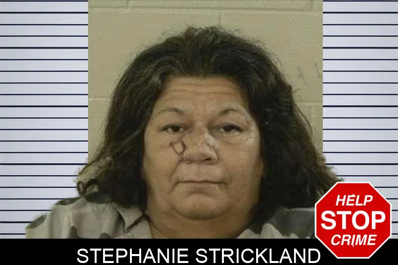 Stephanie Strickland mugshot