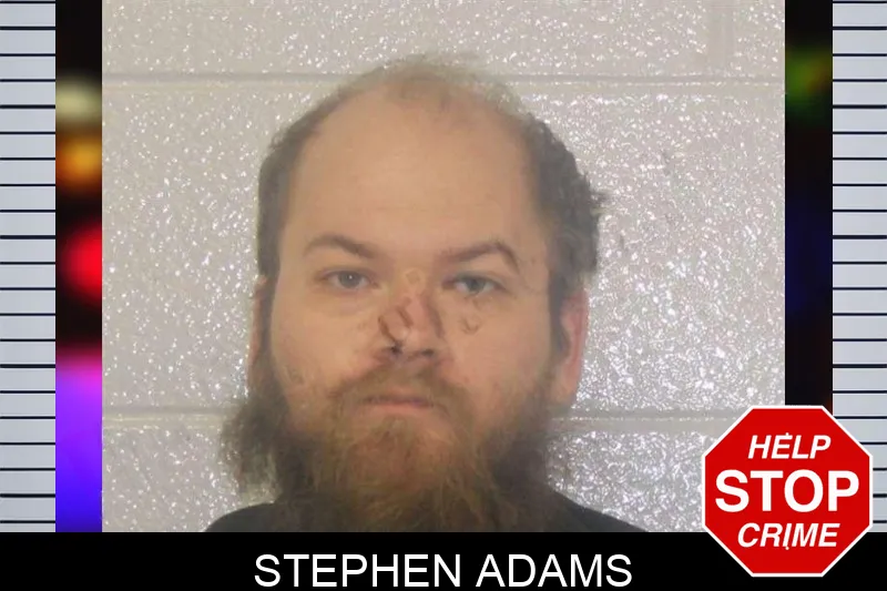 Stephen Adams mugshot