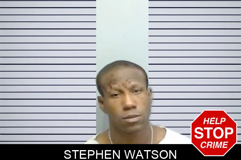 Stephen Watson mugshot – Fulton County , Georgia Stephen Watson mugshot