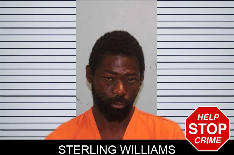 Sterling Williams mugshot – Grady County , Georgia Sterling Williams mugshot