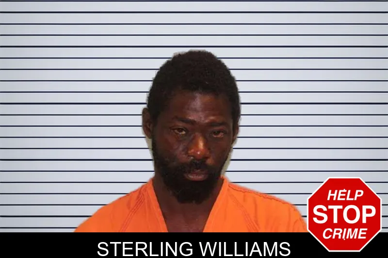 Sterling Williams mugshot