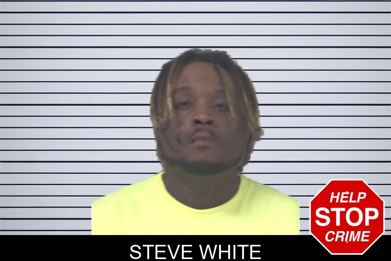 Steve White mugshot
