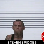Steven Bridges mugshot