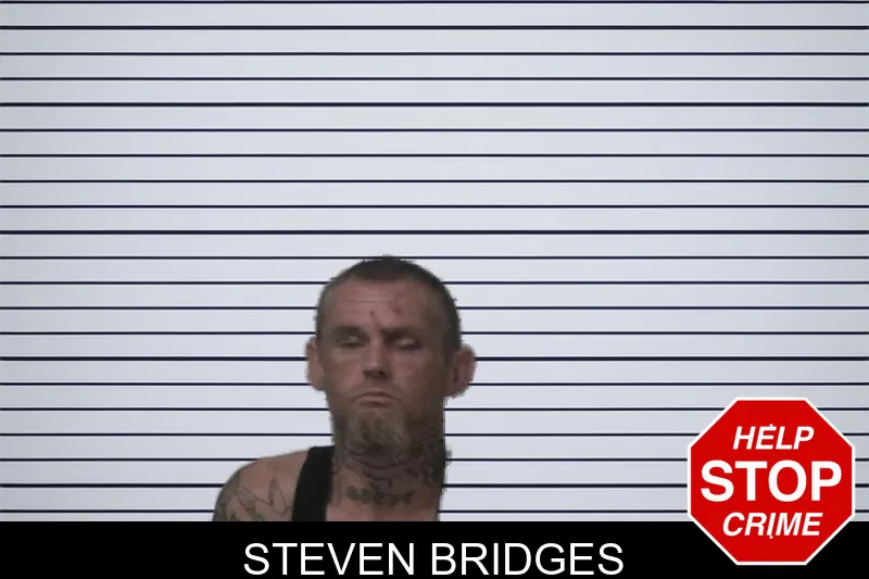 Steven Bridges mugshot