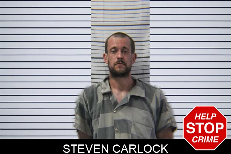 Steven Carlock mugshot – Stephens County , Georgia Steven Carlock mugshot