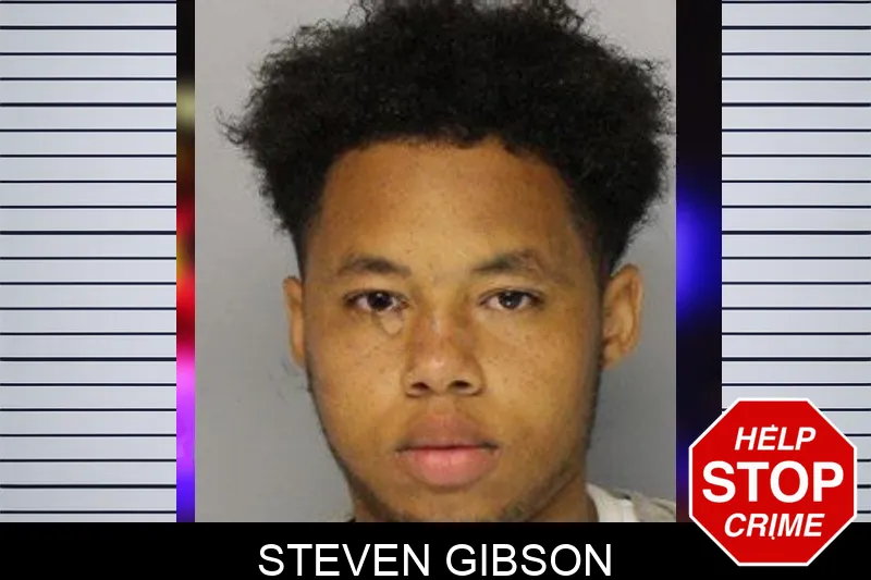 Steven Gibson mugshot