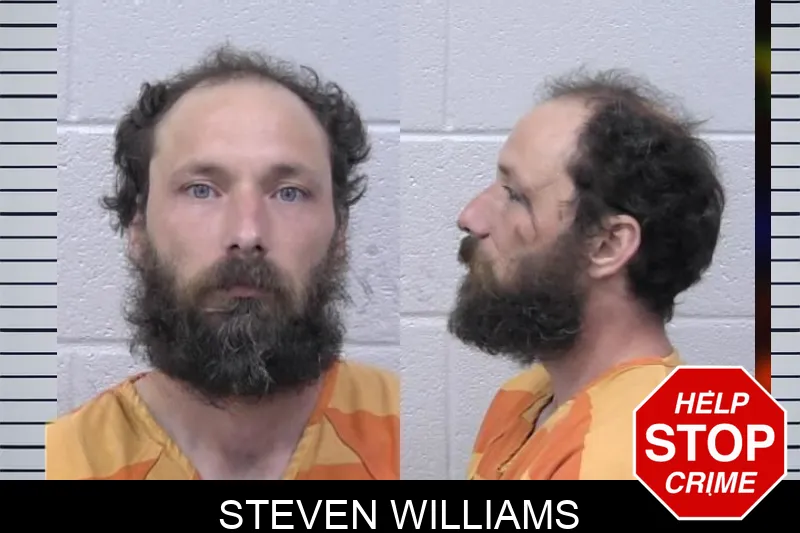 Steven Williams mugshot