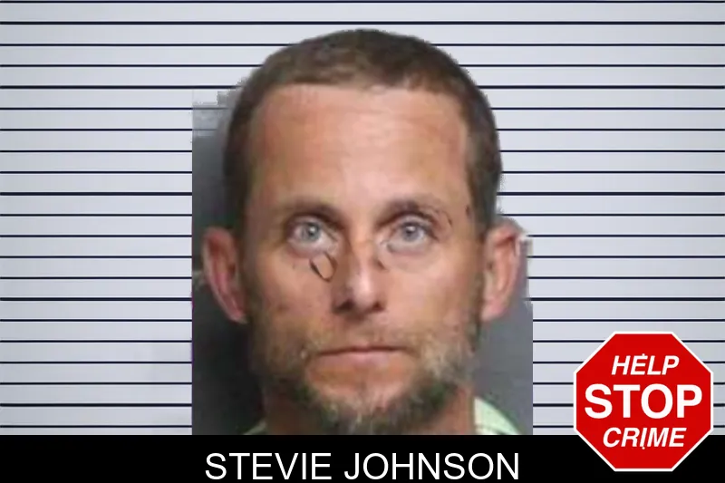 Stevie Johnson mugshot – Bacon County , Georgia Stevie Johnson mugshot