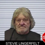 Stevie Lingerfelt mugshot