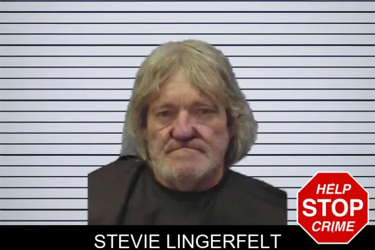 Stevie Lingerfelt mugshot – Chattooga County , Georgia Stevie Lingerfelt