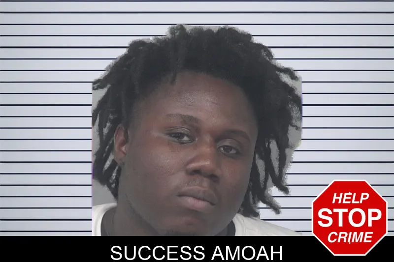 Success Amoah mugshot – Gwinnett County , Georgia Success Amoah mugshot