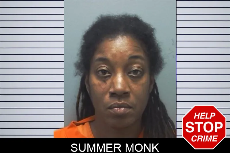 Summer Monk mugshot
