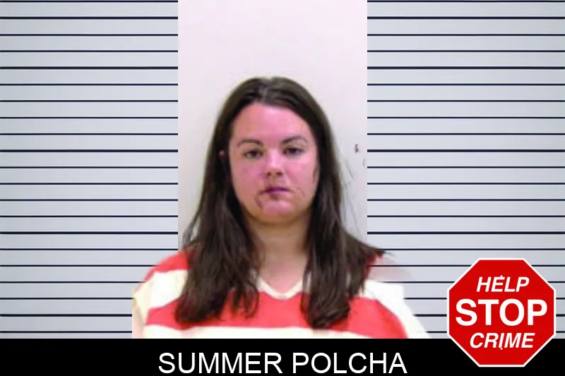 Summer Polcha mugshot – Bartow County , Georgia Summer Polcha mugshot