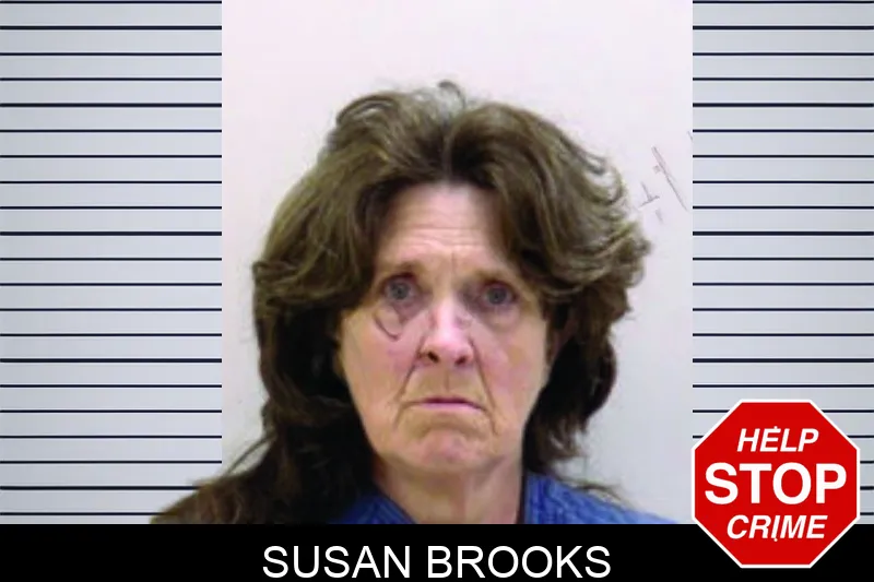 Susan Brooks mugshot – Bartow County , Georgia Susan Brooks mugshot