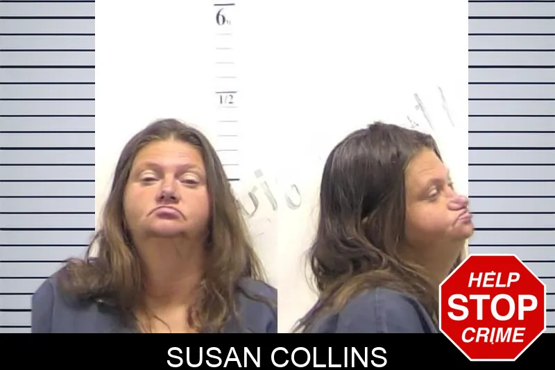 Susan Collins mugshot