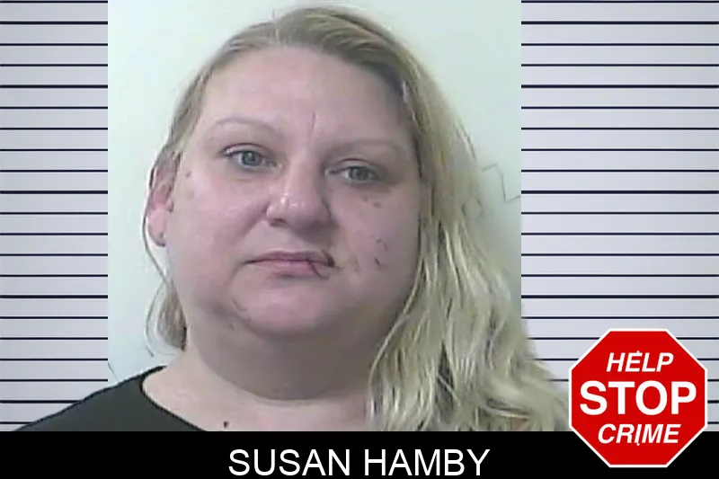 Susan Hamby mugshot