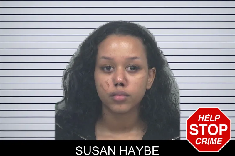Susan Haybe mugshot – Gwinnett County , Georgia Susan Haybe mugshot