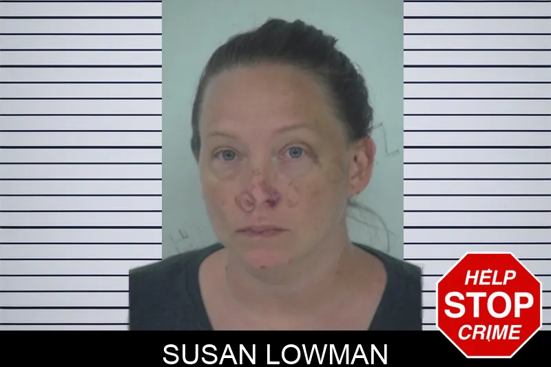 Susan Lowman mugshot
