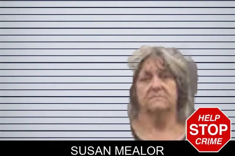 Susan Mealor