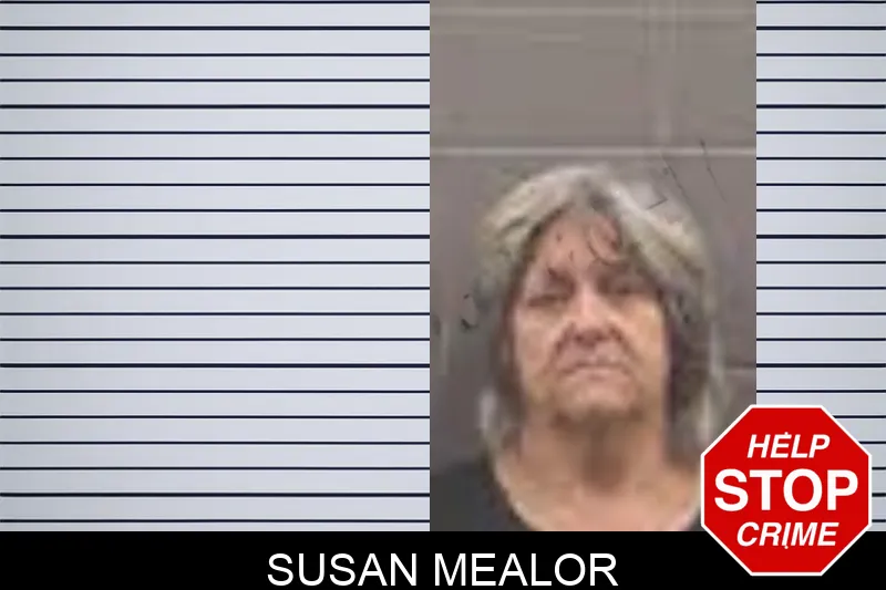 Susan Mealor mugshot
