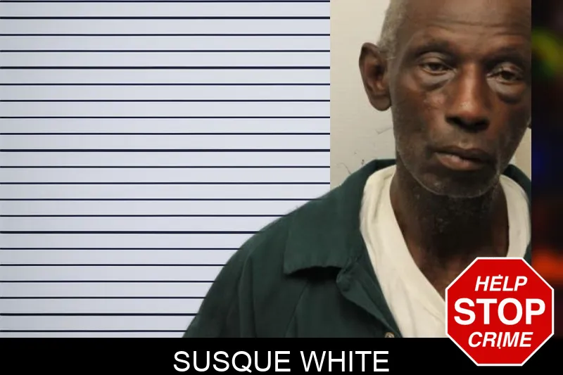 Susque White mugshot – Chatham County , Georgia Susque White mugshot