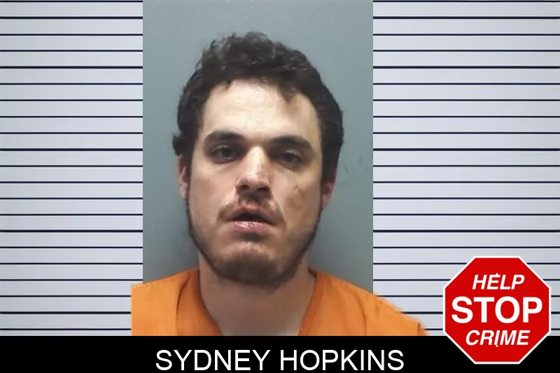 Sydney Hopkins mugshot – Cherokee County , Georgia Sydney Hopkins mugshot