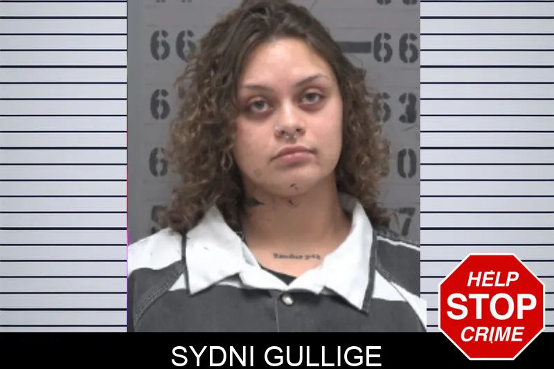 Sydni Gullige mugshot
